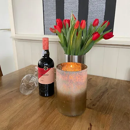 Rustig Gelegen Op Texel Prázdninový dům