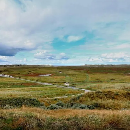 Rustig Gelegen Op Texel